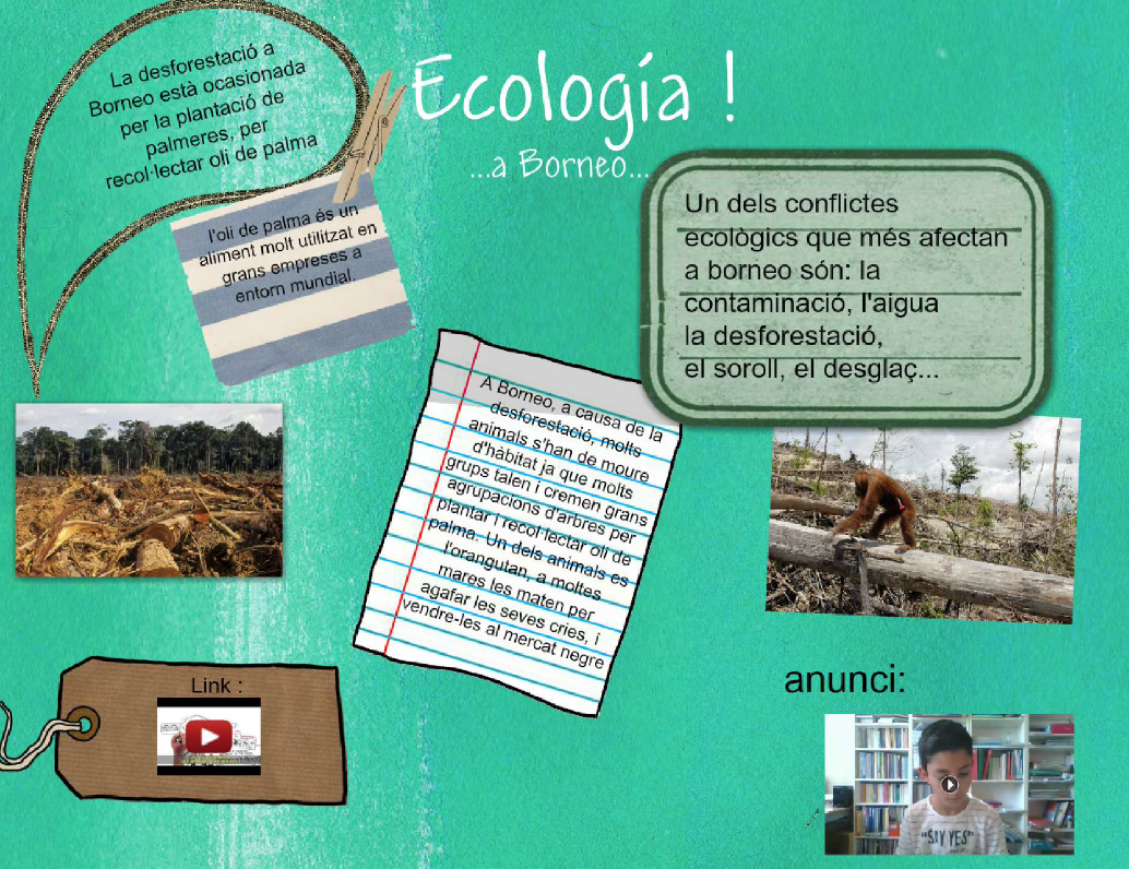 eco1