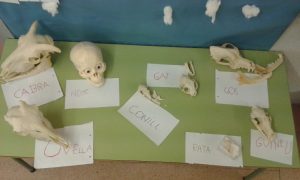 small_20170306_155622