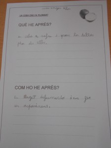 Què he après 3