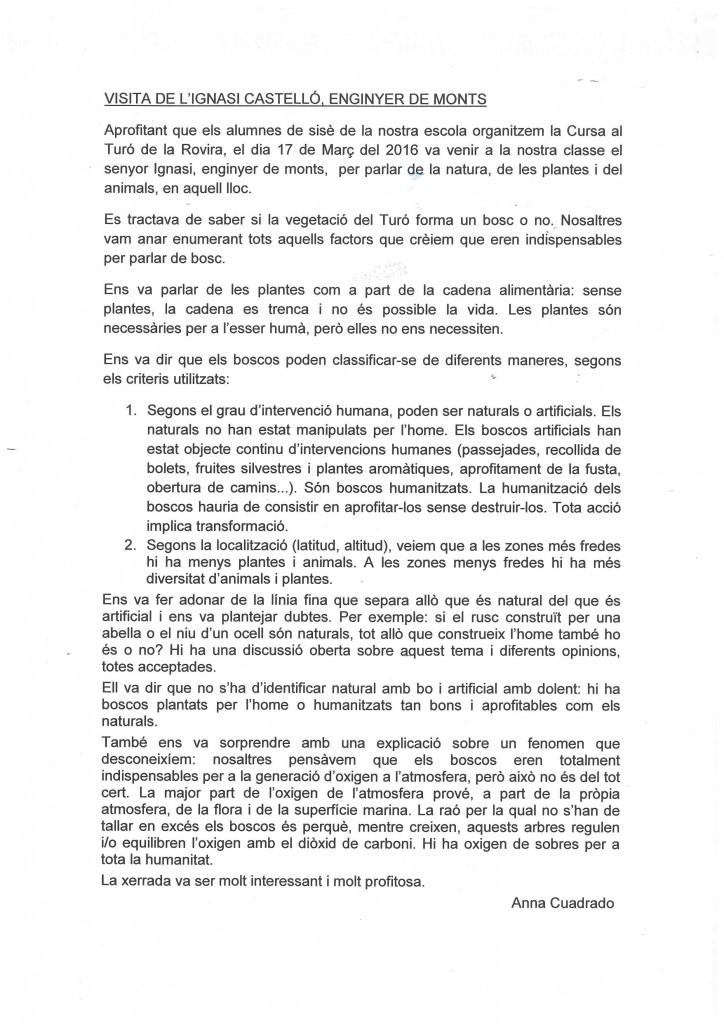 Text Ignasi Castelló