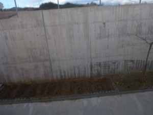 P1110993