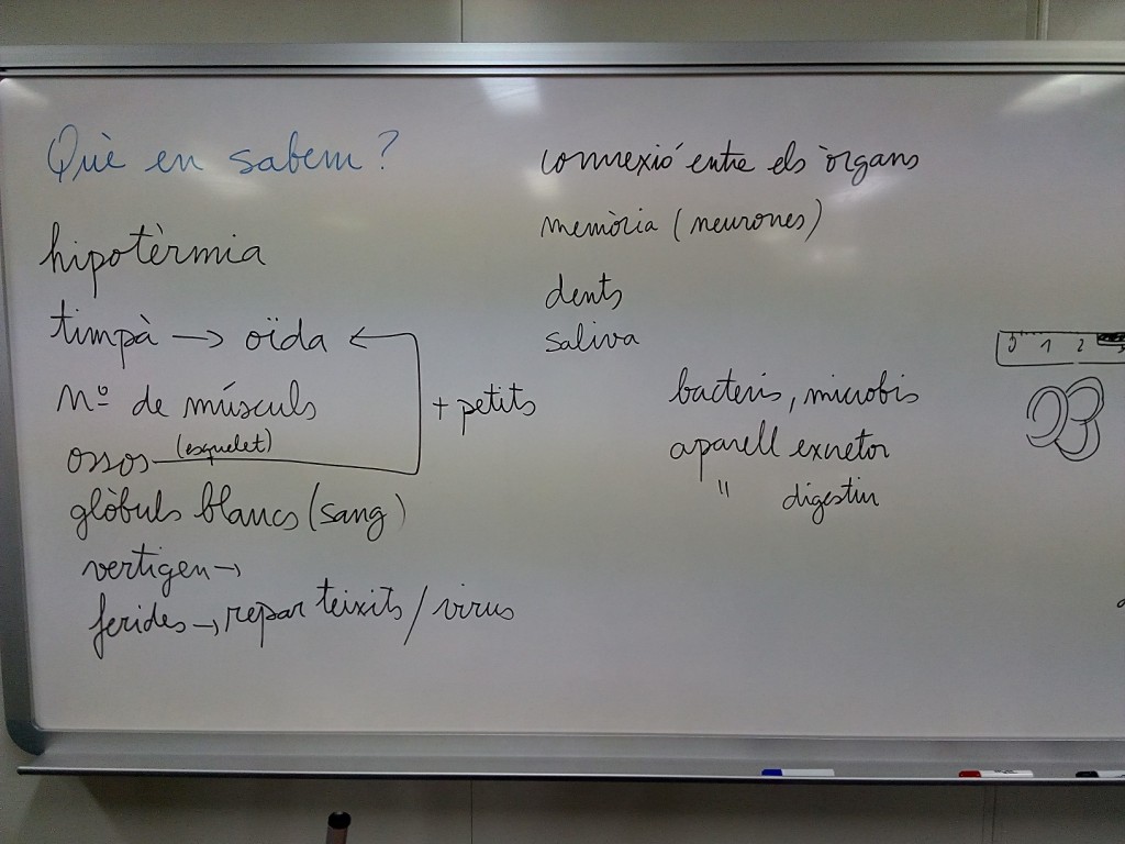 Mapa conceptual 1
