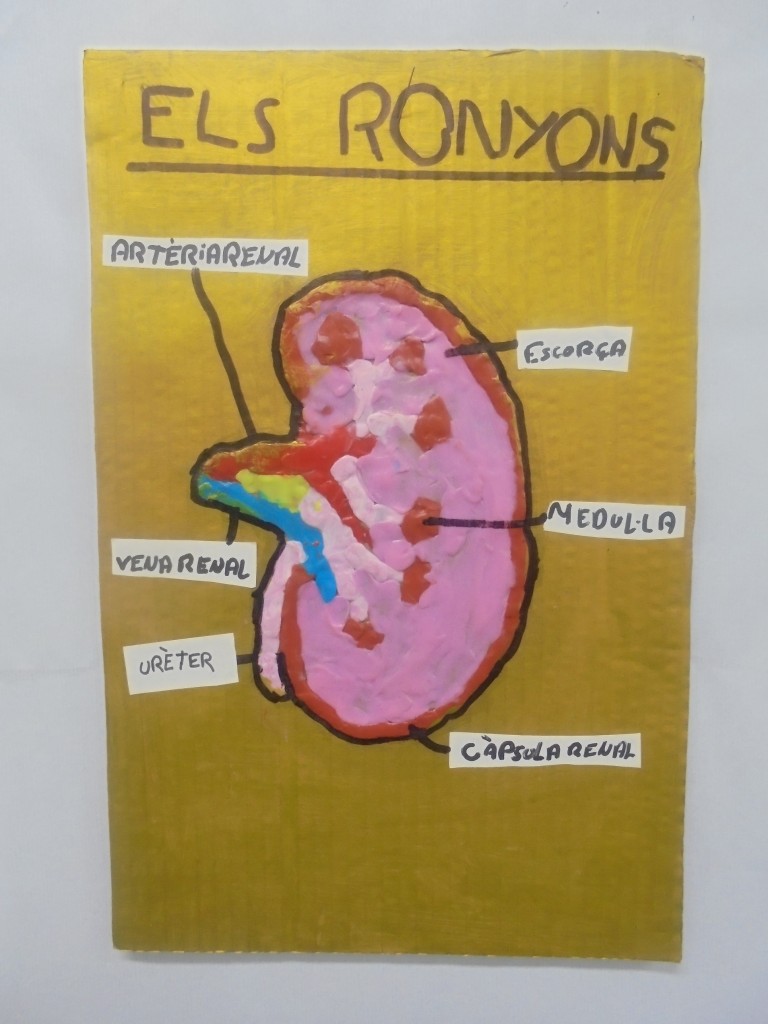 Ronyons reduït
