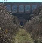 images8