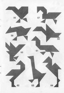 aves 1