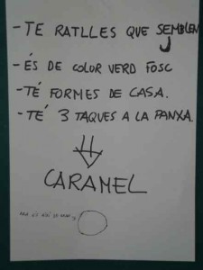 observacions de la tortuga Caramel