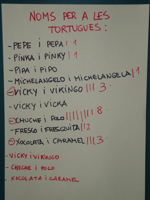 noms-tortugues3