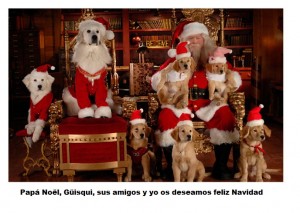 ropa-para-perros-navideñar0
