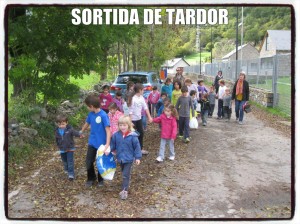 TARDOR