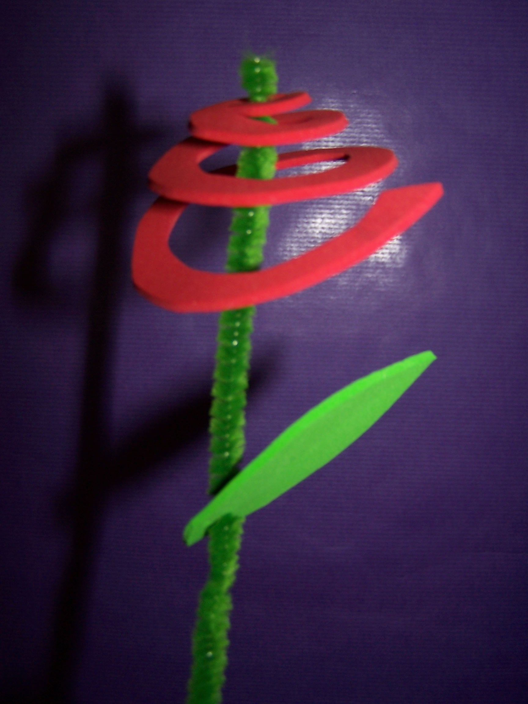 100_9021.JPG