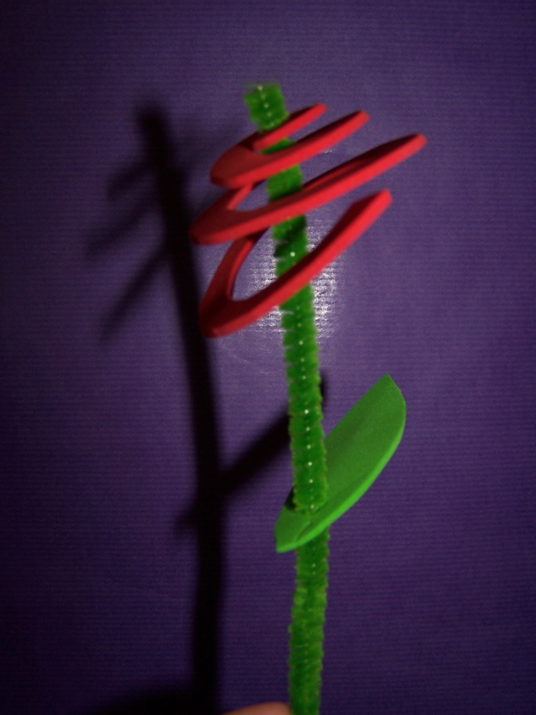 100_9023.JPG