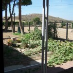 hort-gran