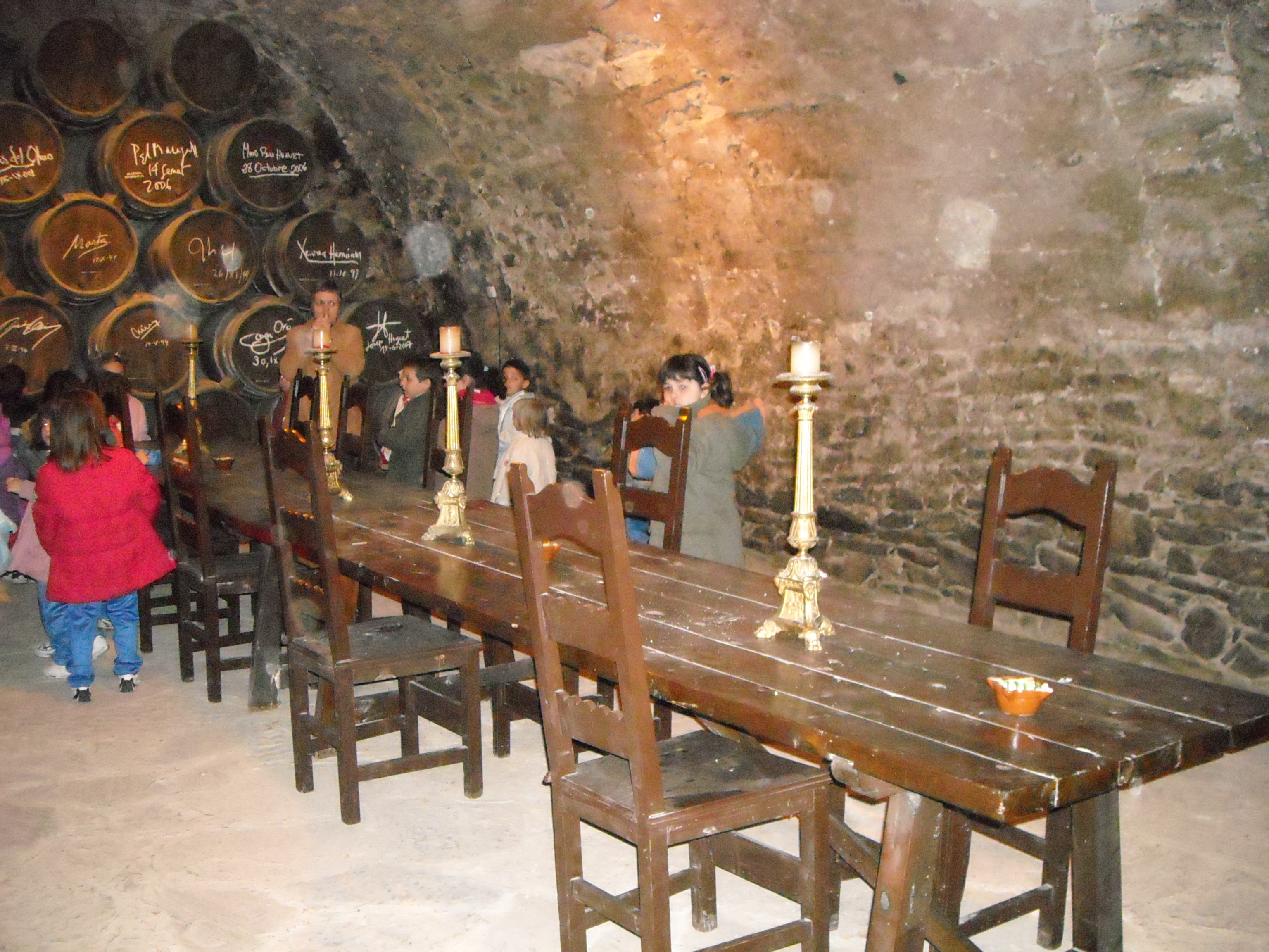 castell-montsonis-028.jpg