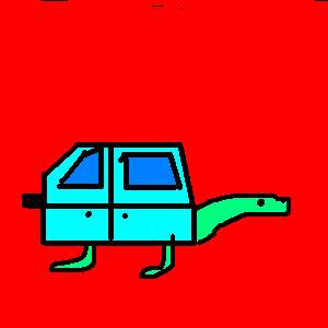 cochetortu.jpg