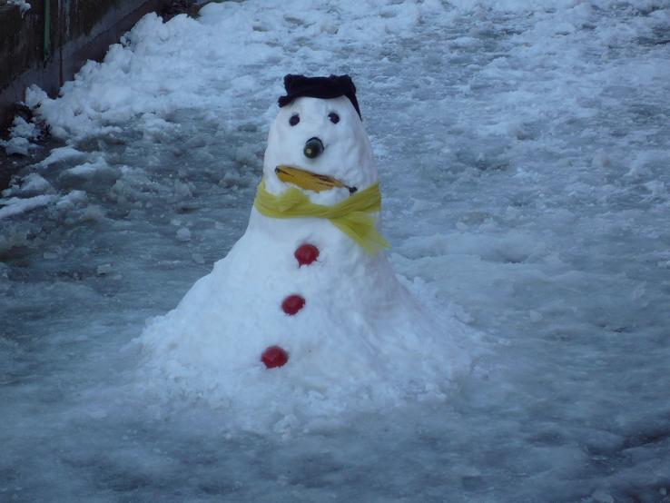 ninot de neu