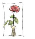 rosa.JPG