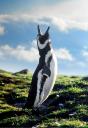 penguin_strait_of_magellan.jpg
