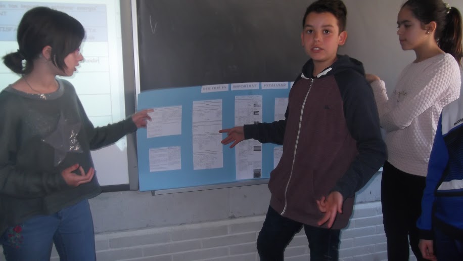 fotos projectes (17)