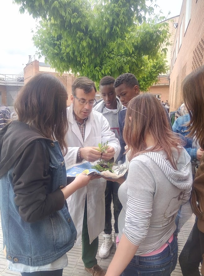 fotos projectes (19)