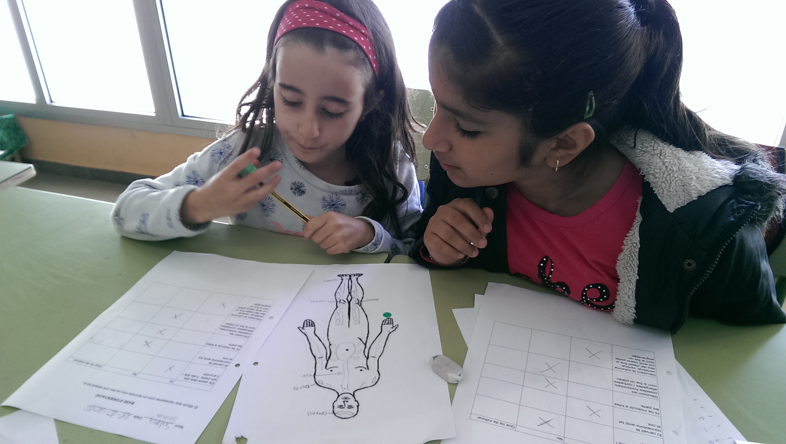fotos projectes (3)
