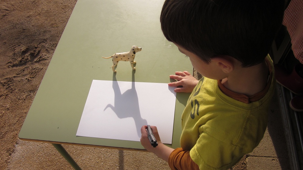 fotos projectes (38)