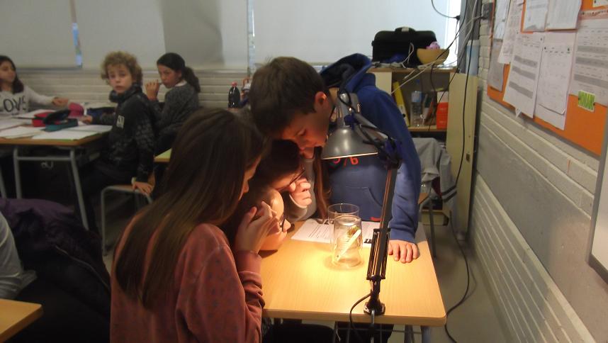 fotos projectes (39)