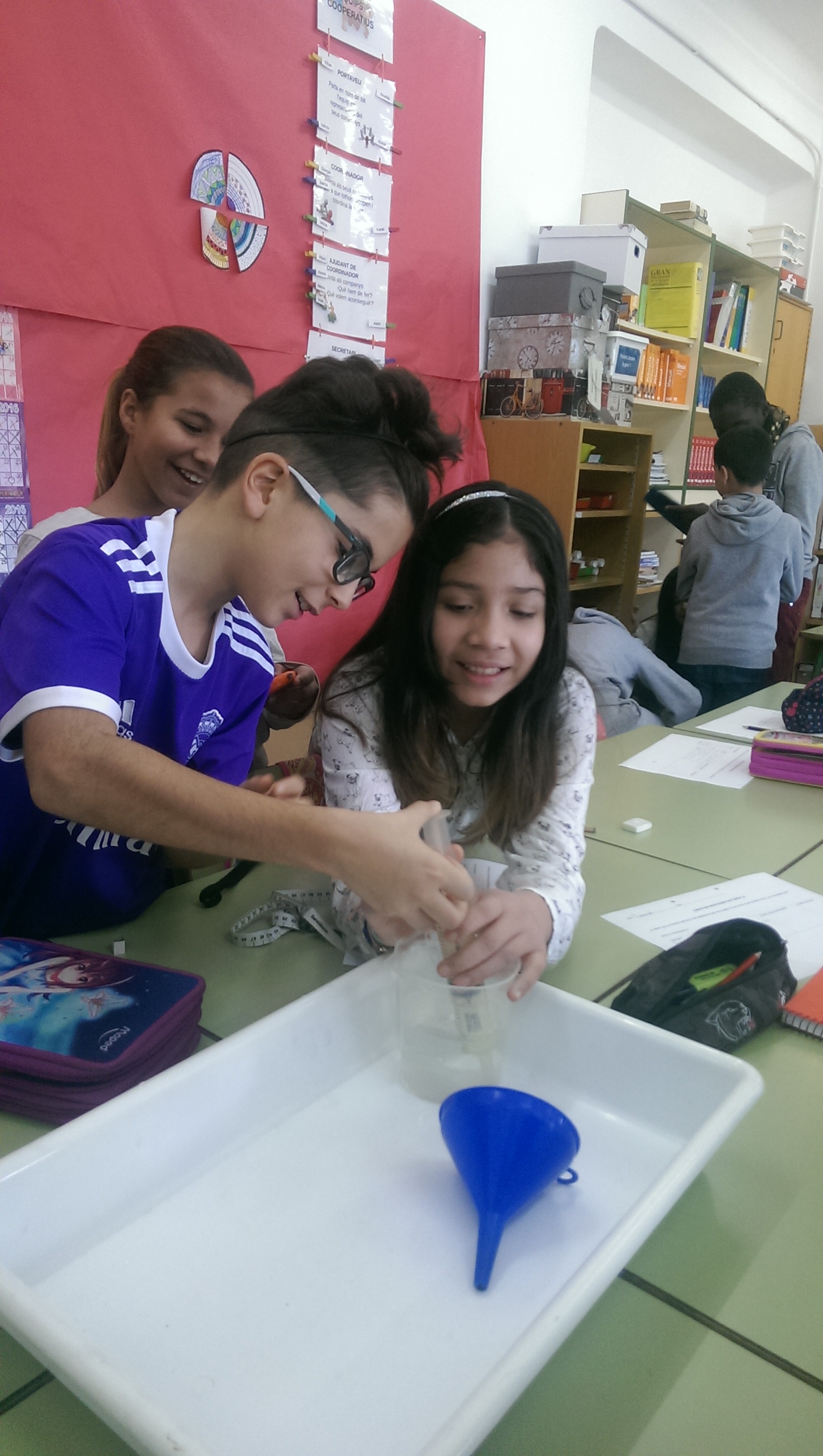 fotos projectes (4)
