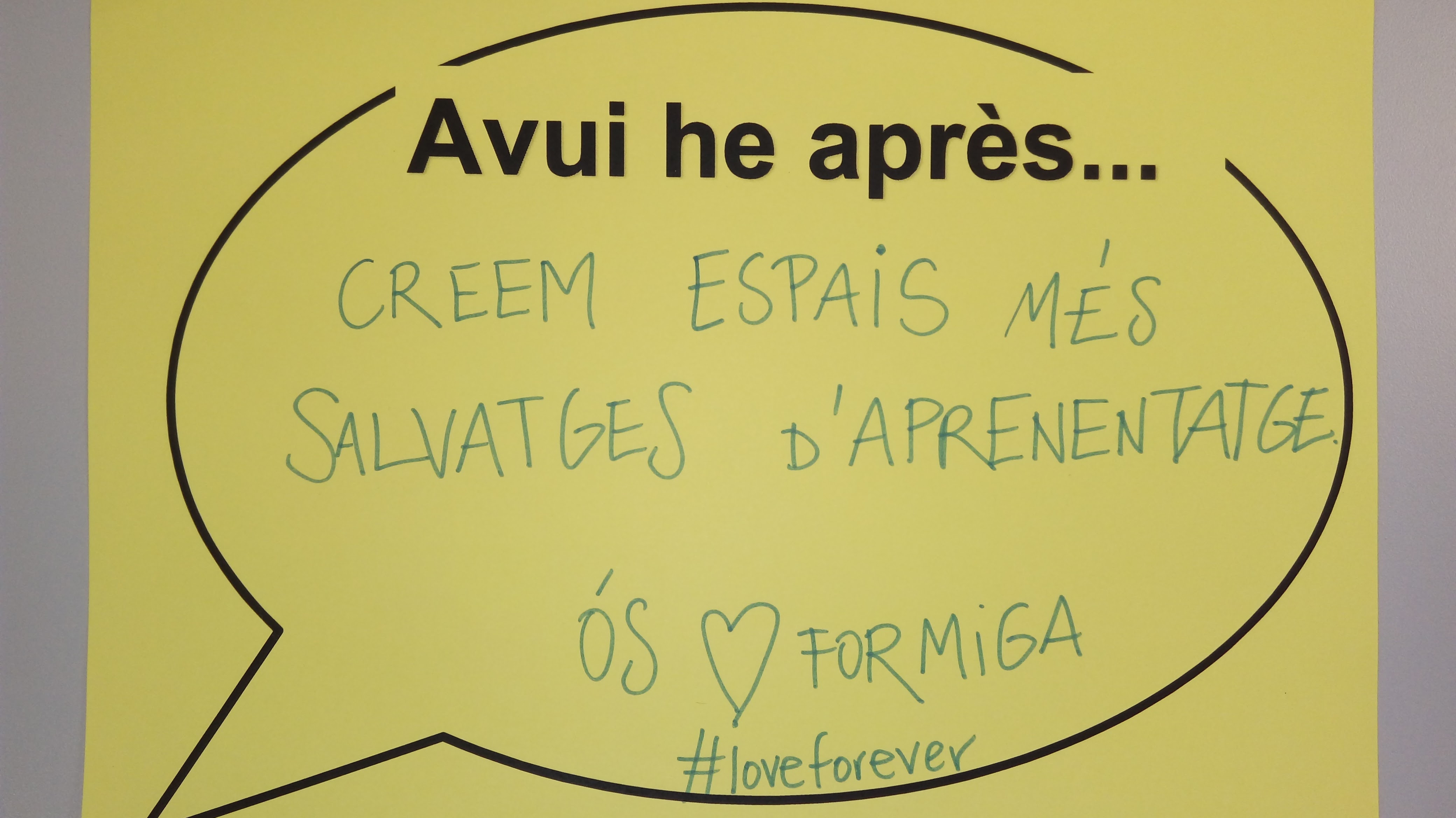 frases jornada (5)