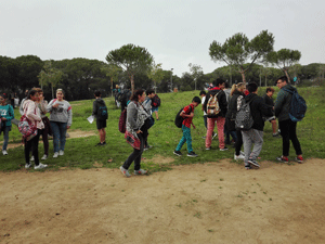 img_20161104_142853