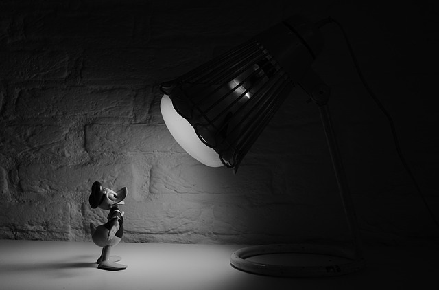 donald-duck-498512_640