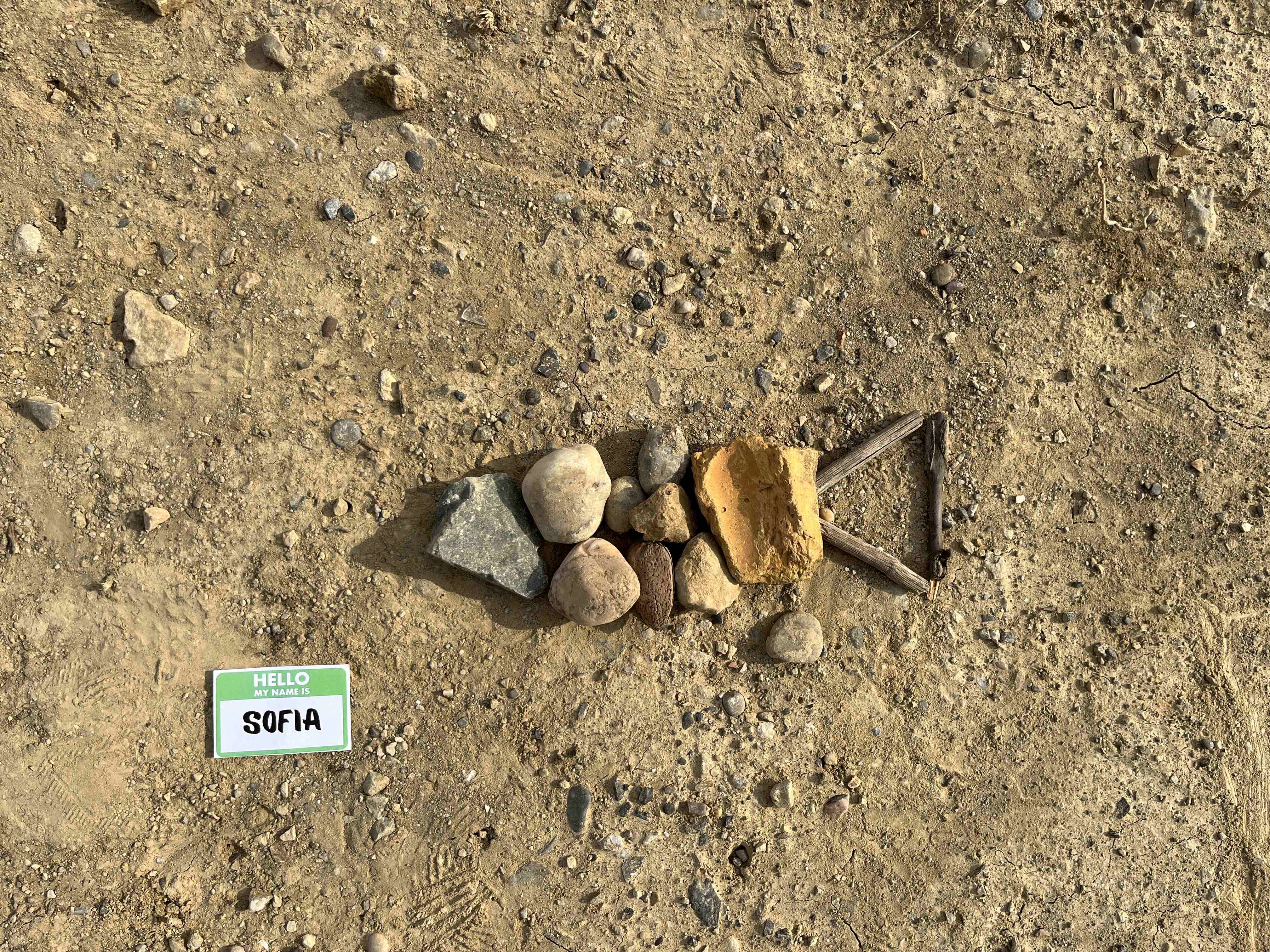 sofia