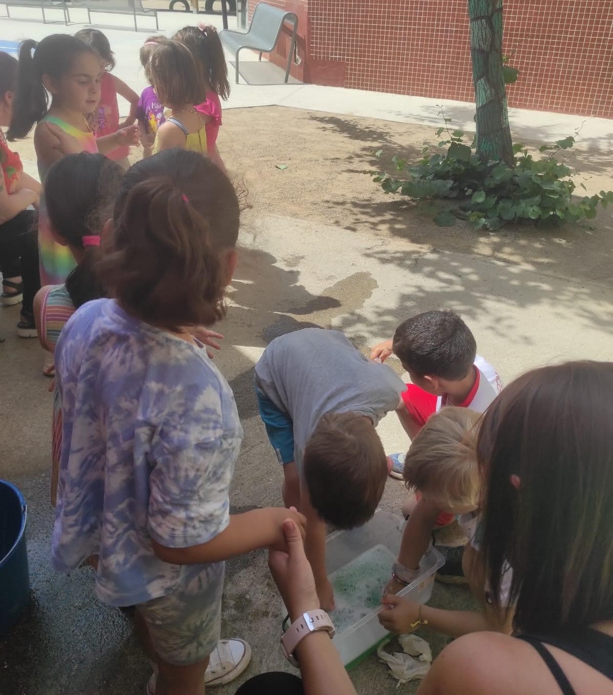 IMG-20240606-WA0010-min