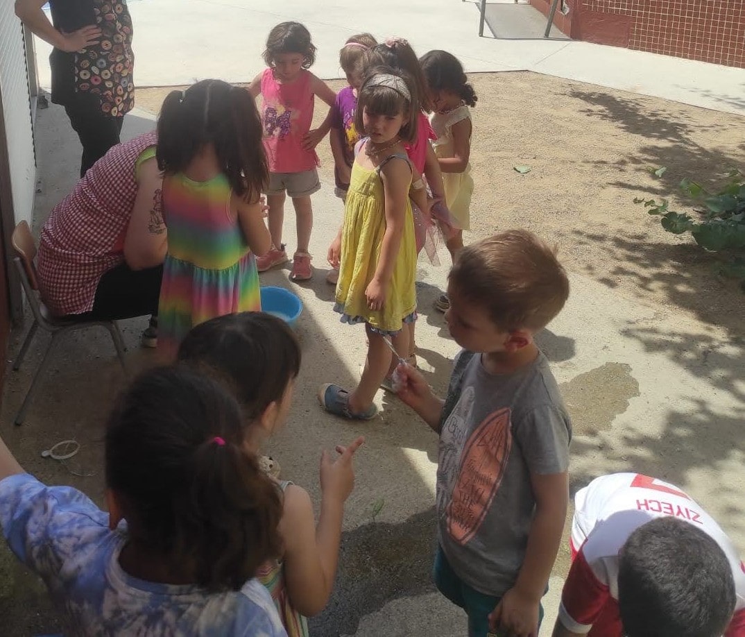 IMG-20240606-WA0011-min