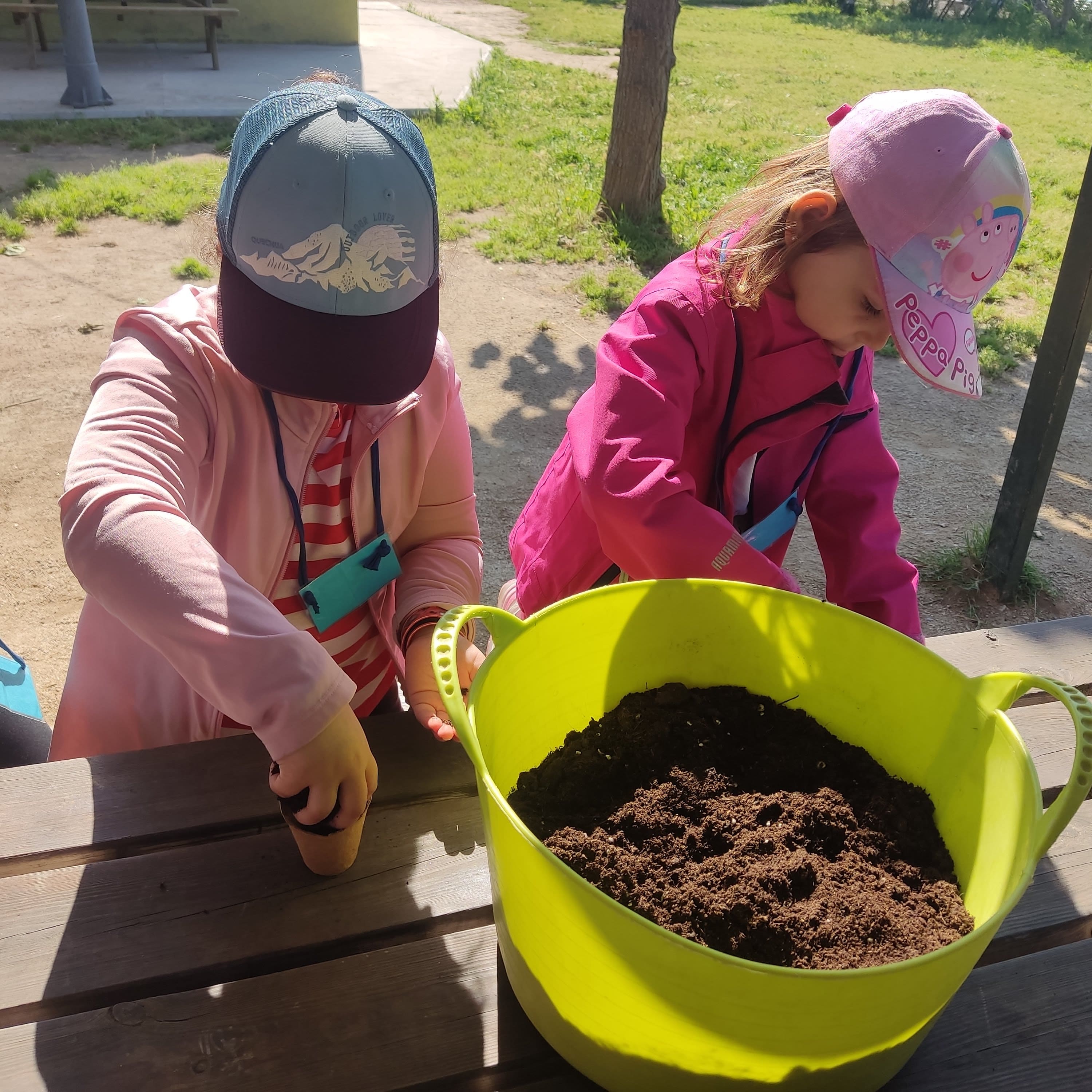 IMG_20250516_104247-min