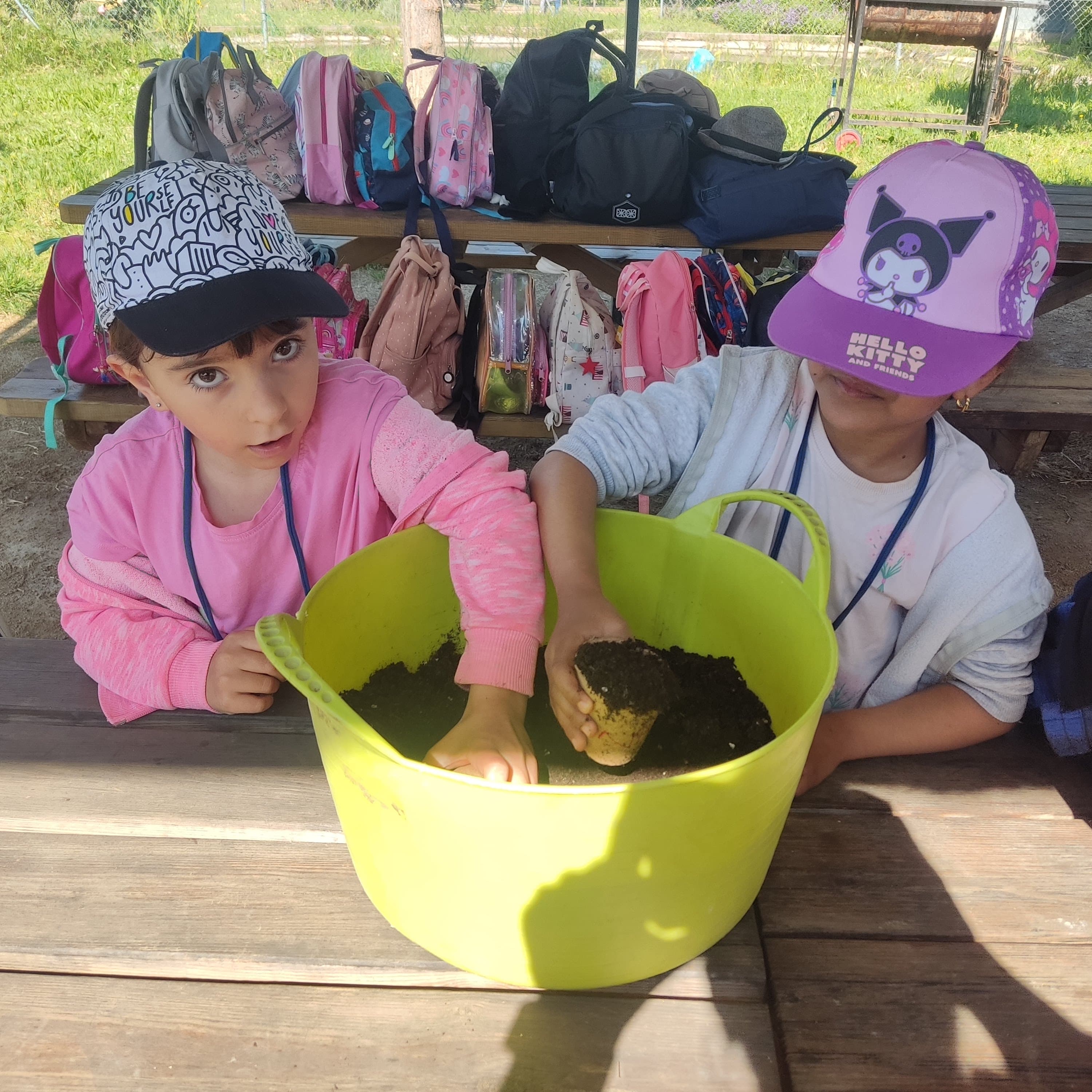 IMG_20250516_104357-min