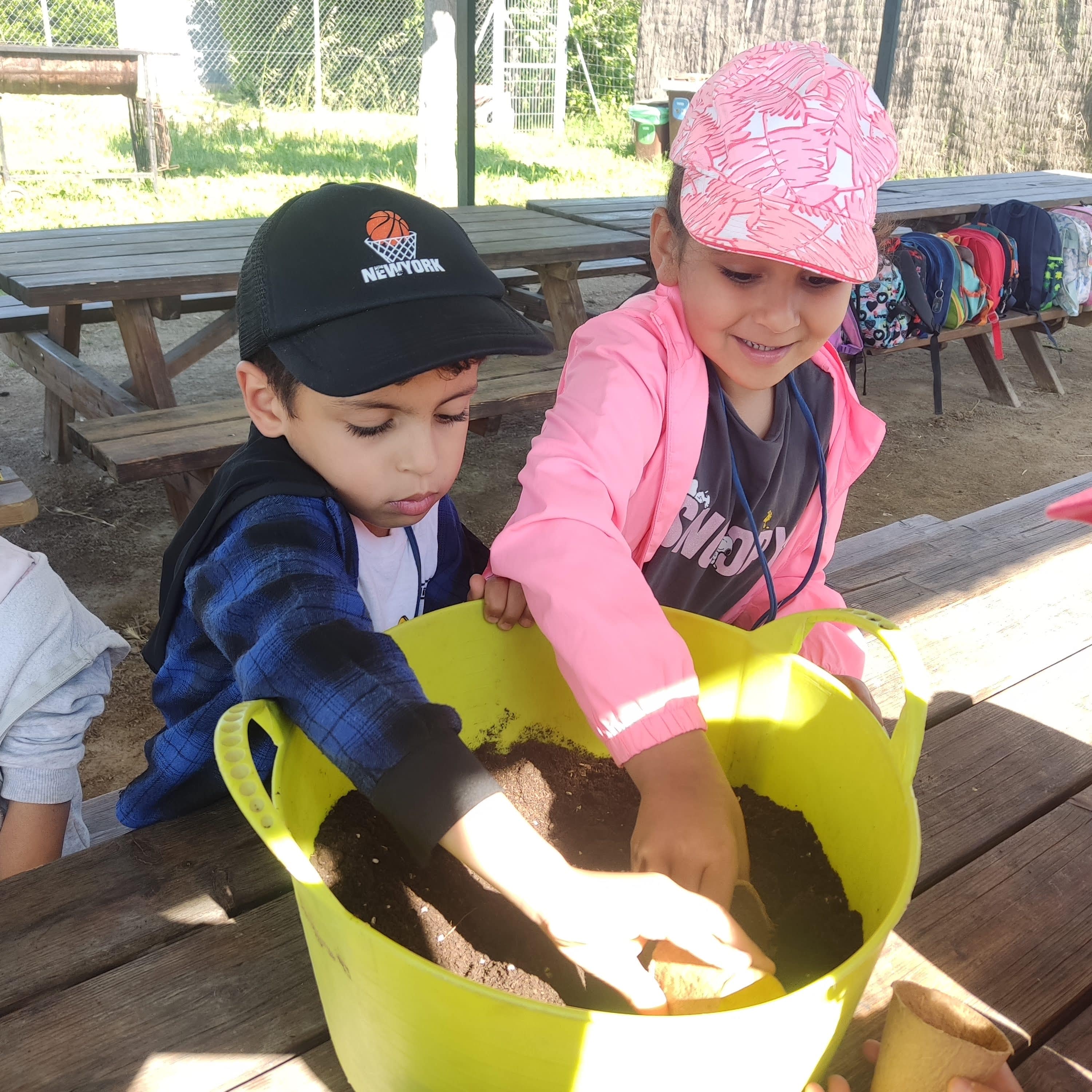 IMG_20250516_104424-min