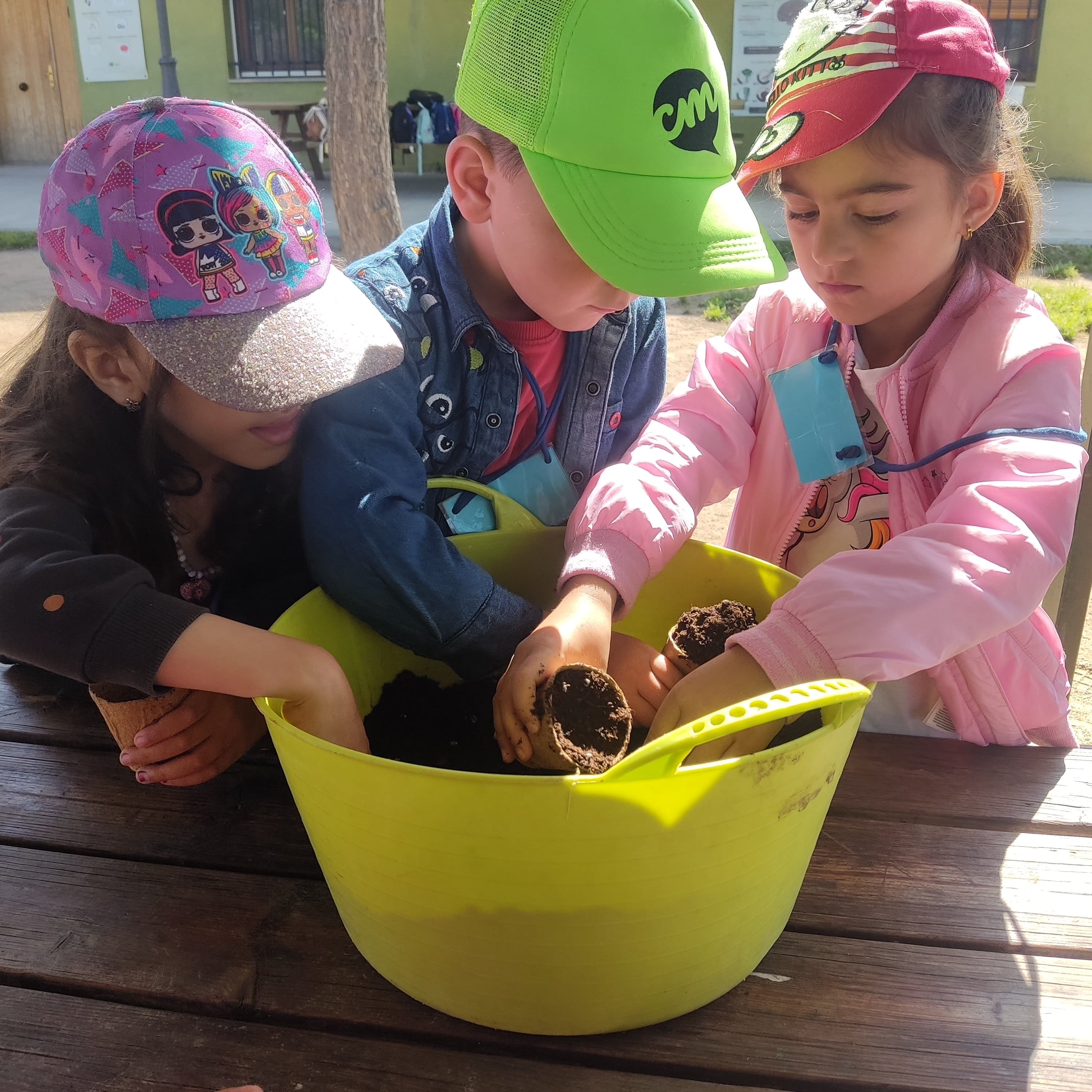 IMG_20250516_104456-min