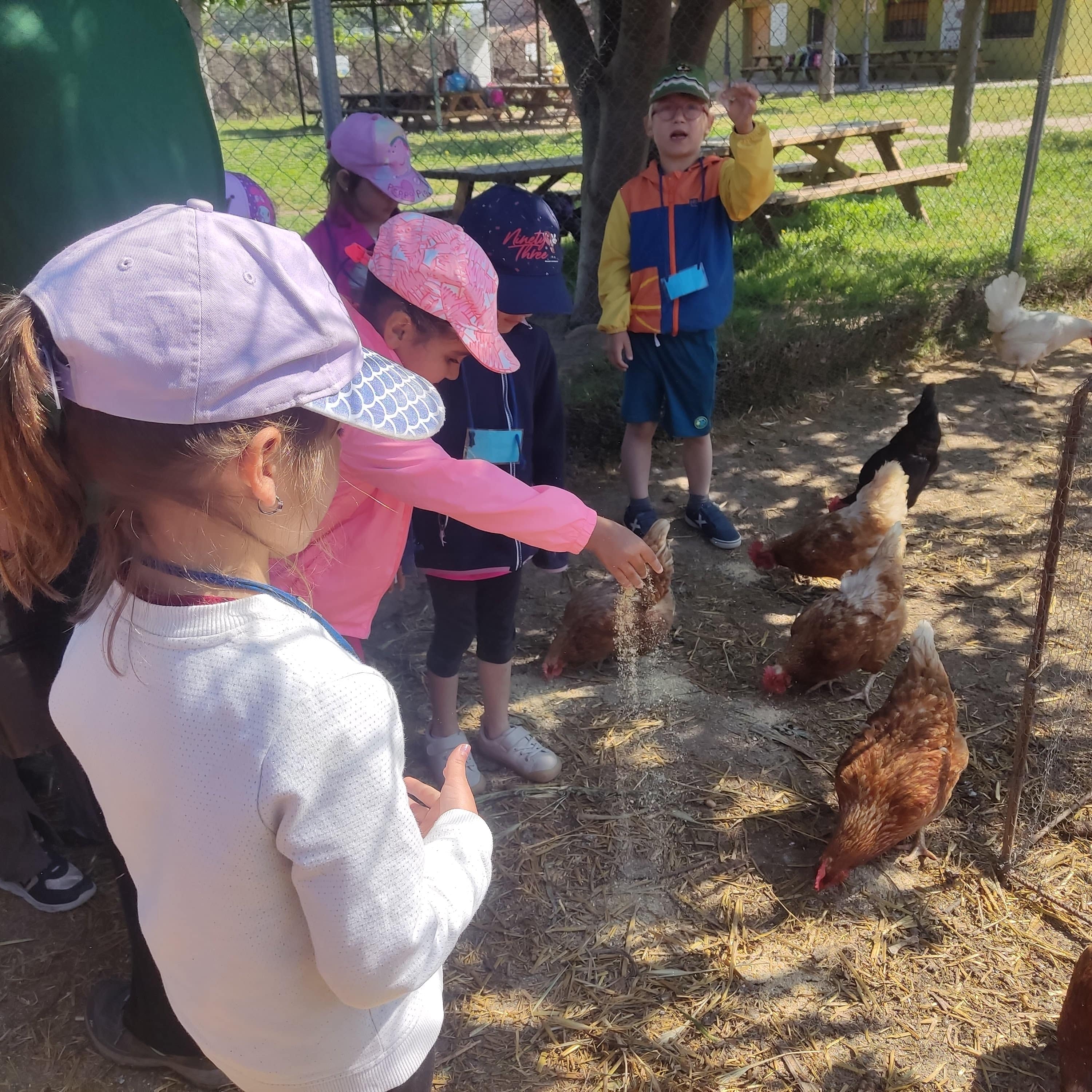 IMG_20250516_110258-min