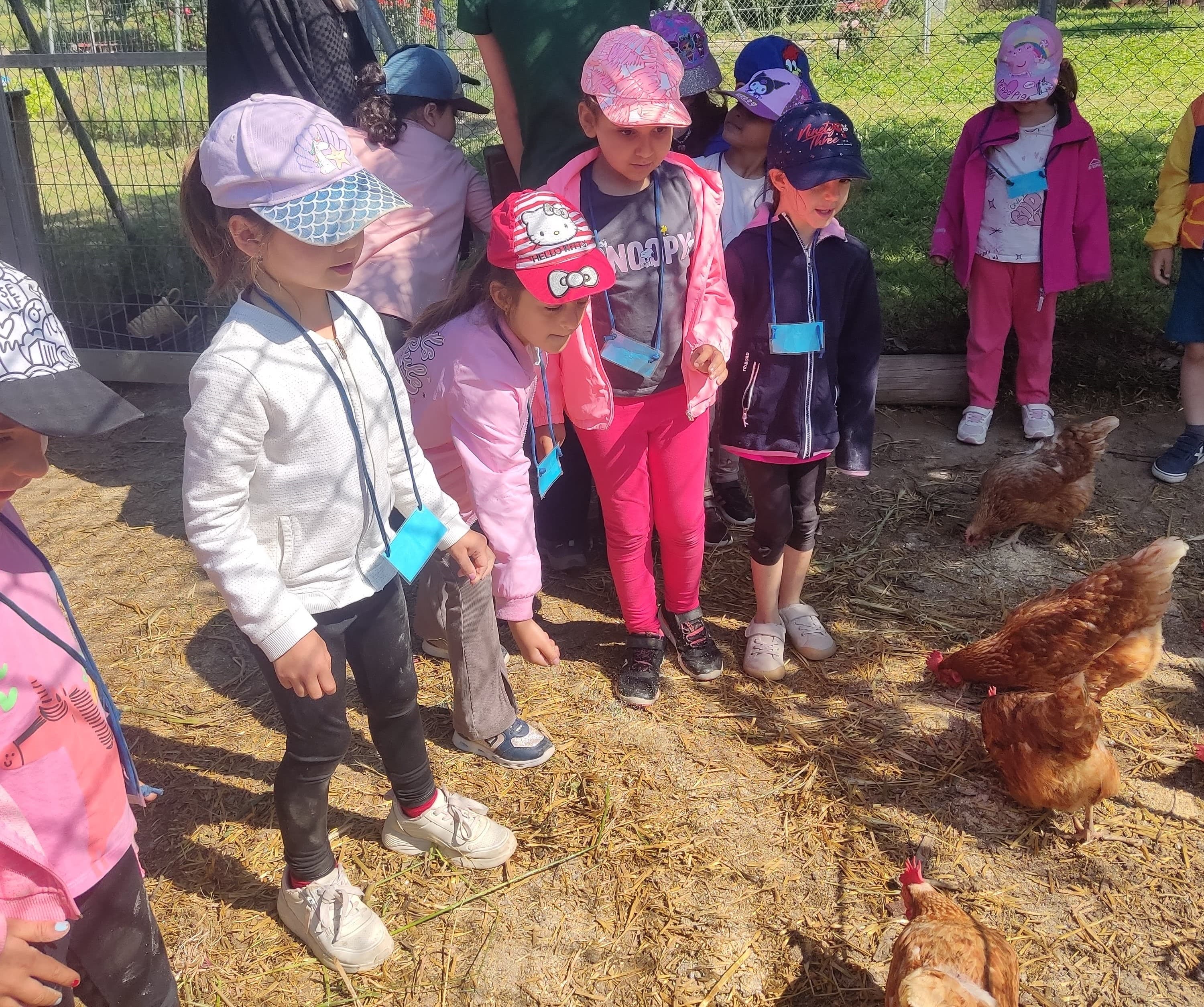 IMG_20250516_110307-min