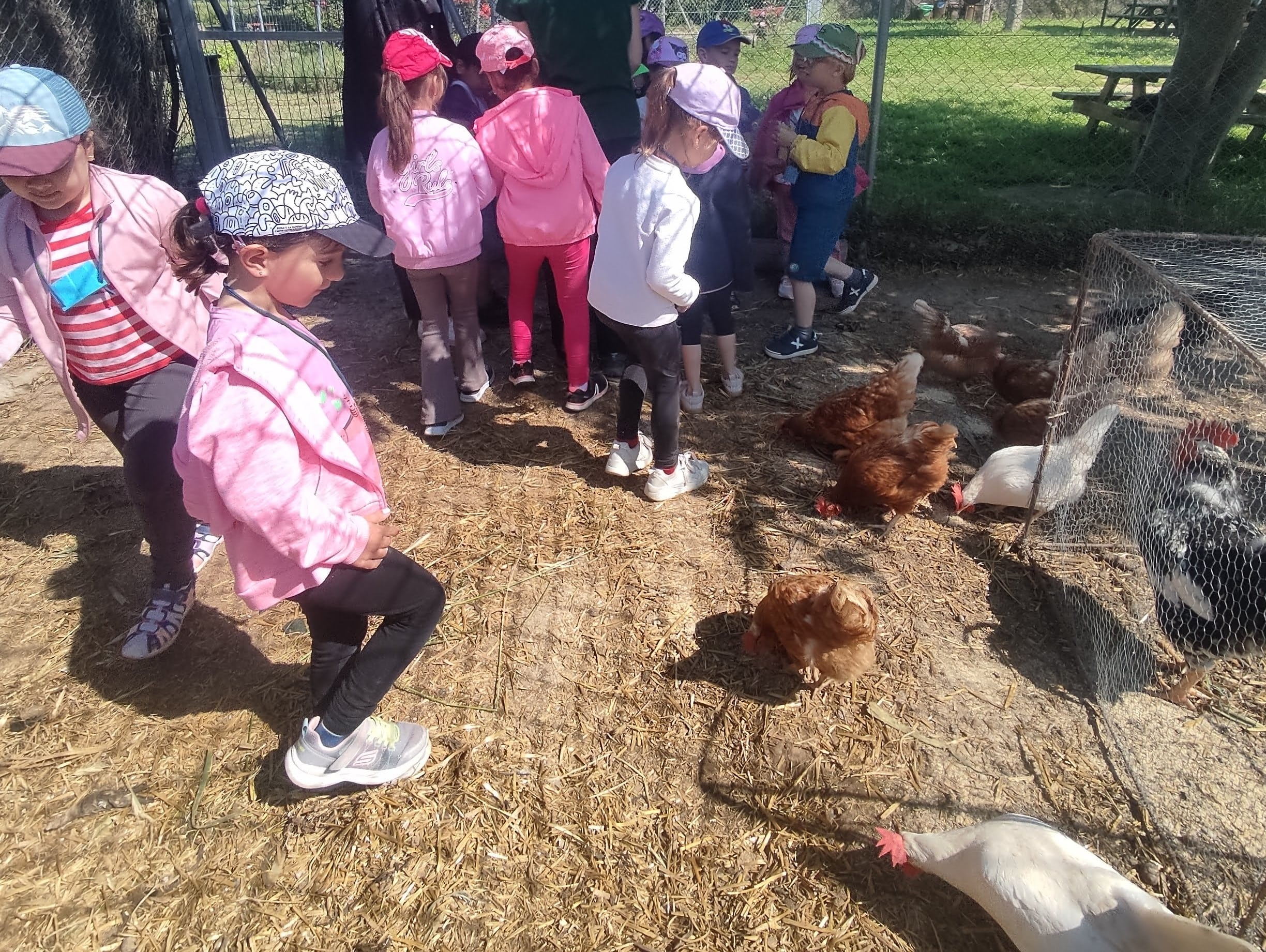 IMG_20250516_110311-min