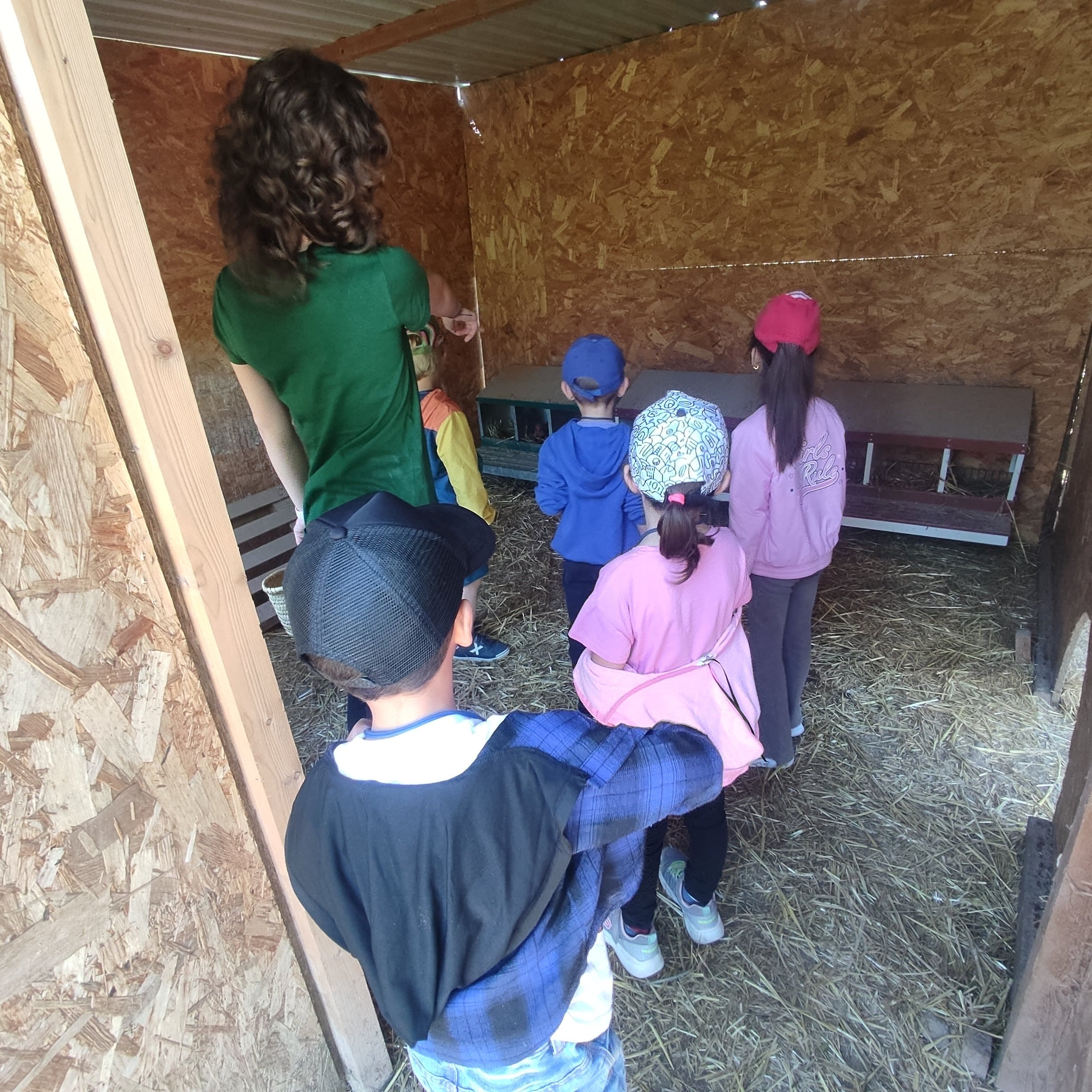 IMG_20250516_110654-min