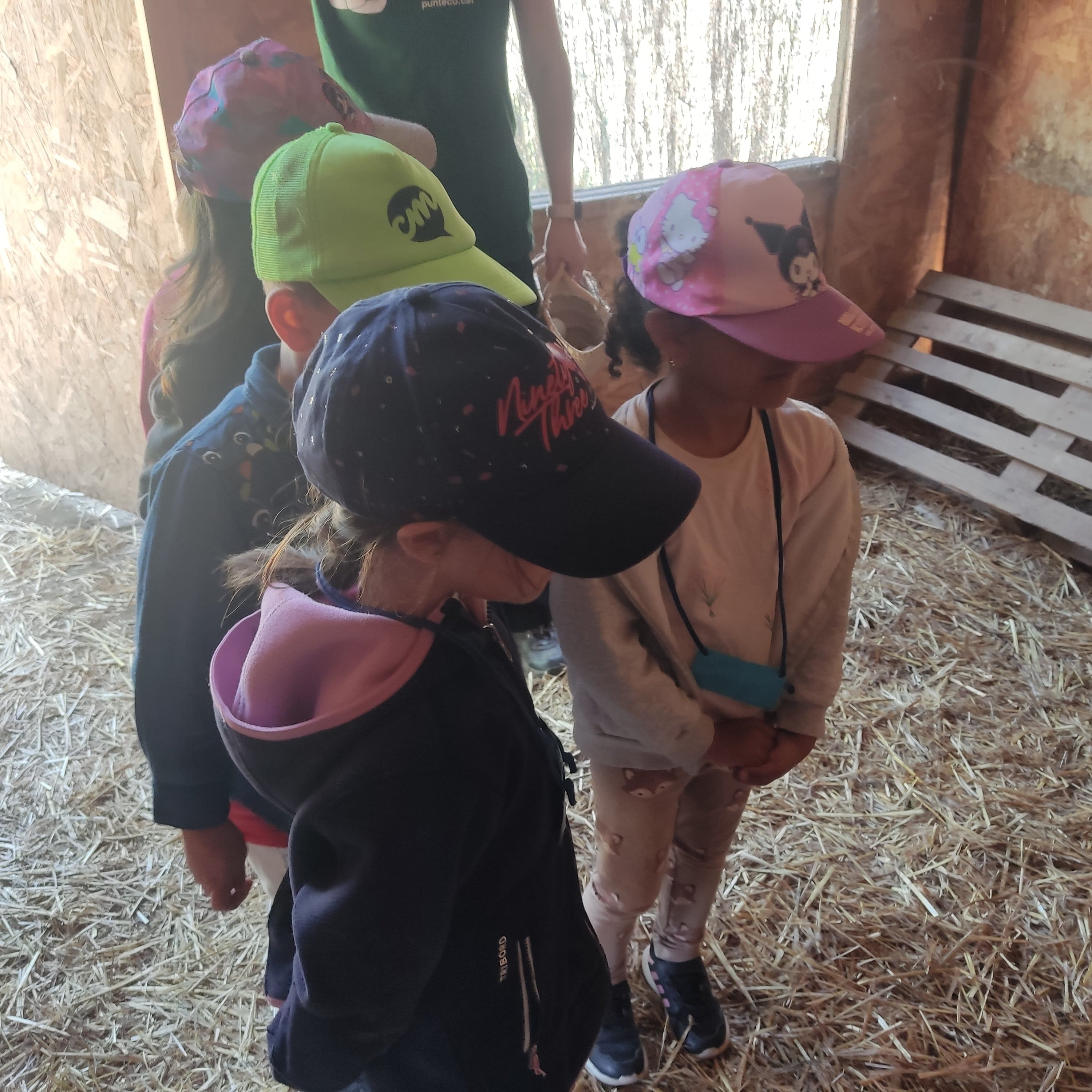 IMG_20250516_110849-min