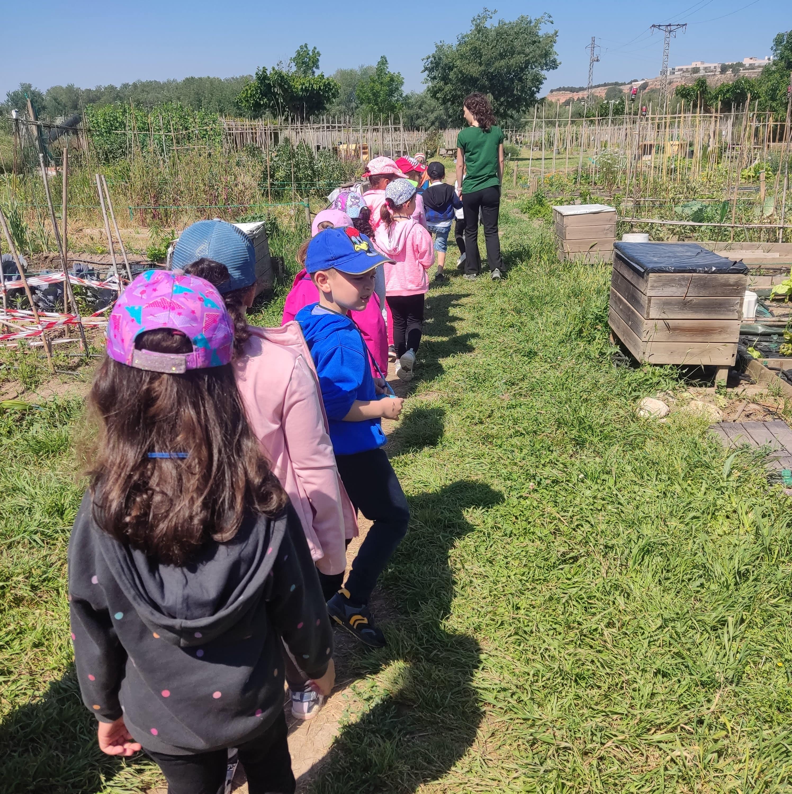 IMG_20250516_112146-min