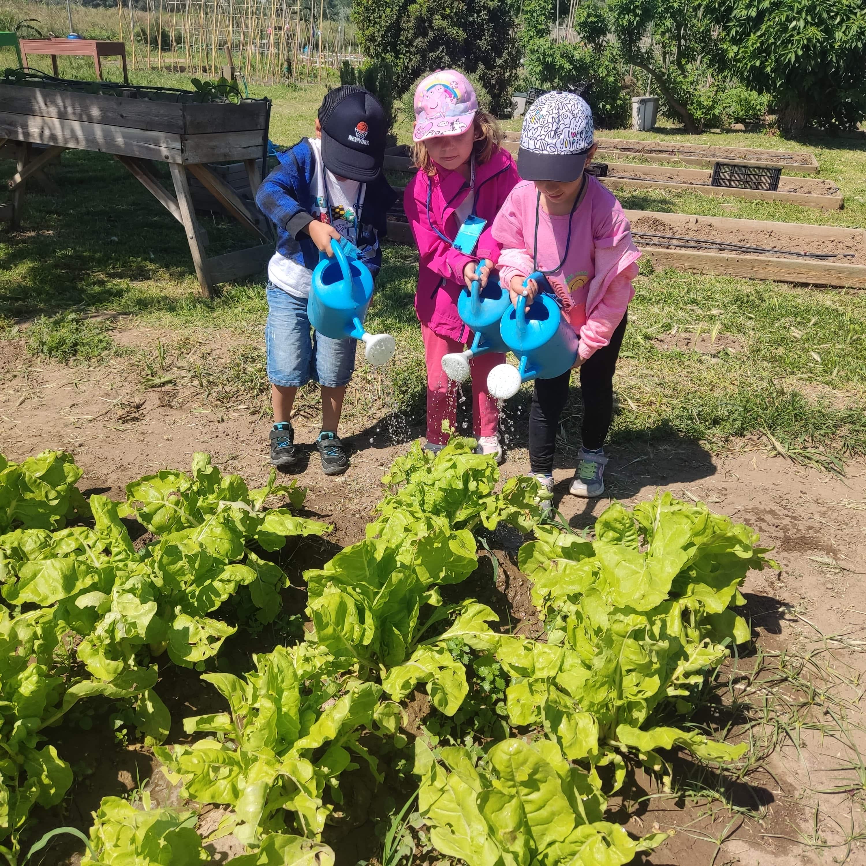 IMG_20250516_114111-min