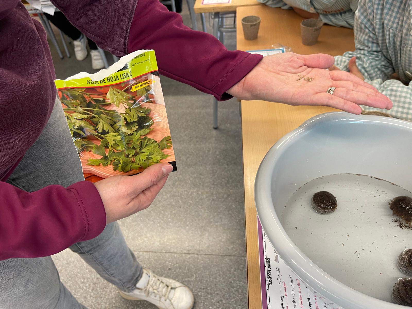 Vida, Terra i Arrels (10)