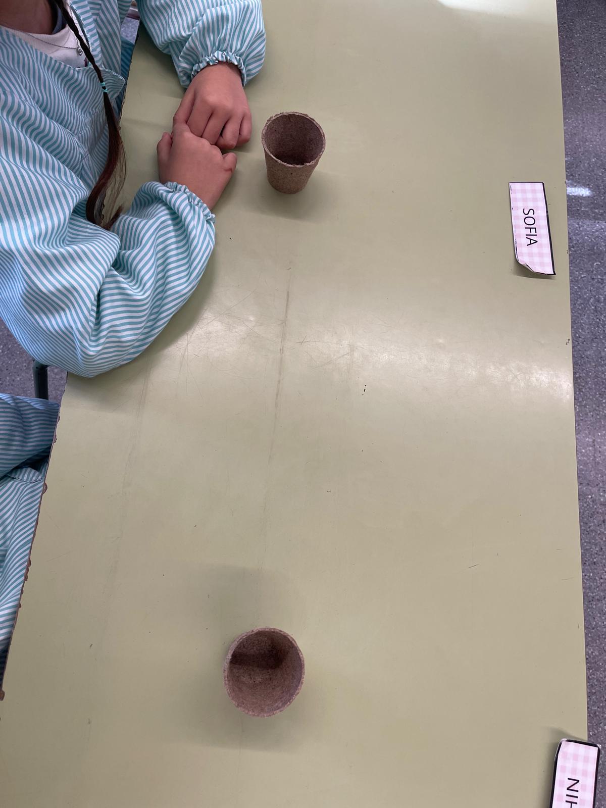 Vida, Terra i Arrels (2)