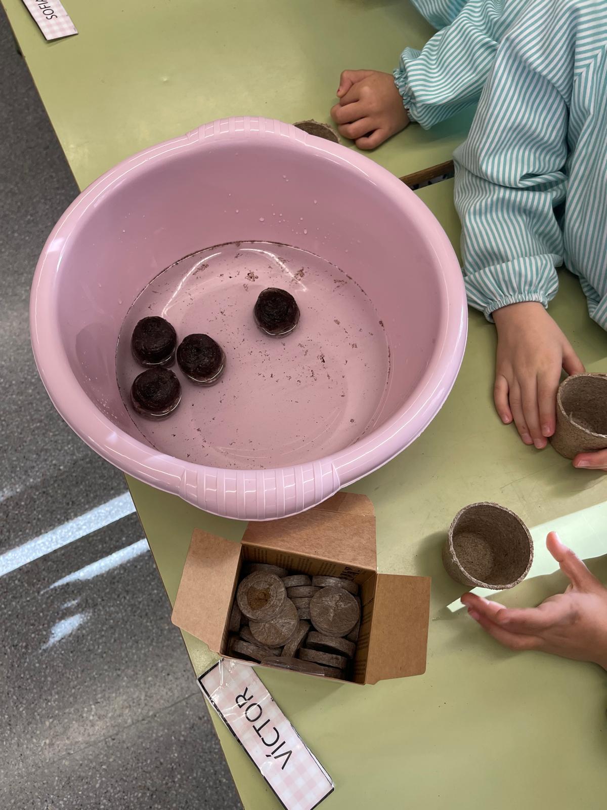 Vida, Terra i Arrels (5)