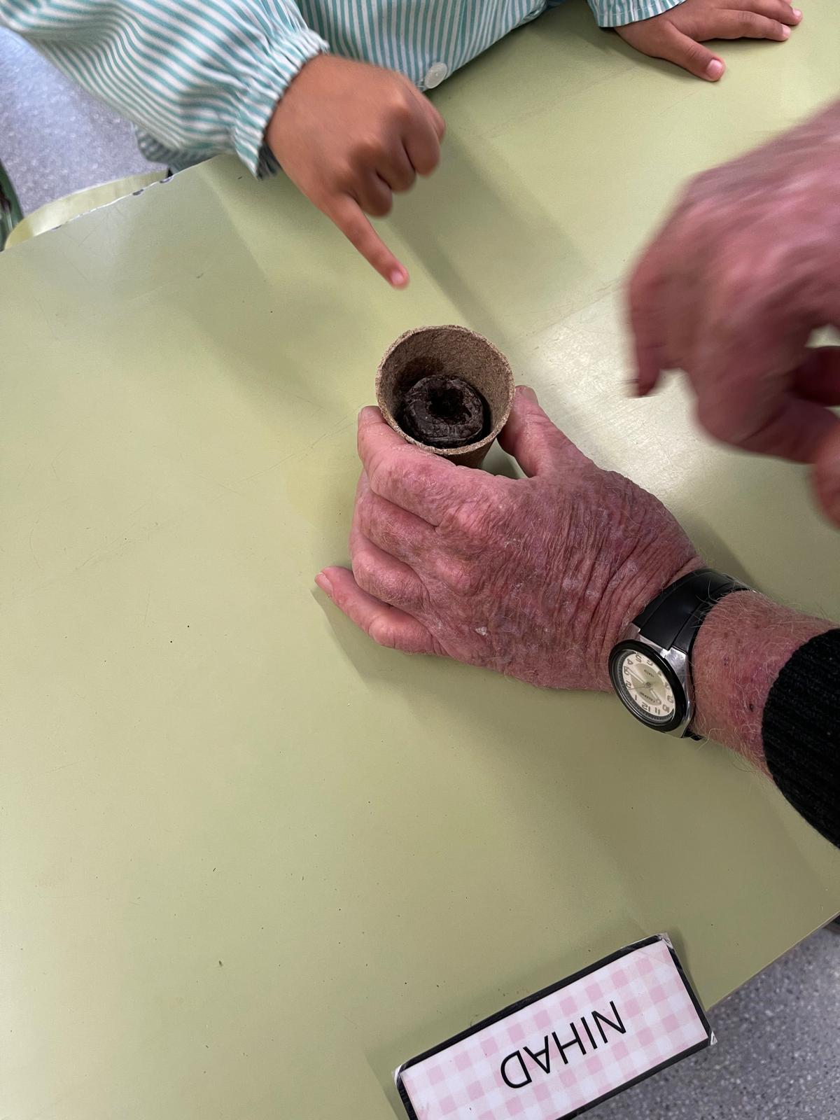 Vida, Terra i Arrels (9)