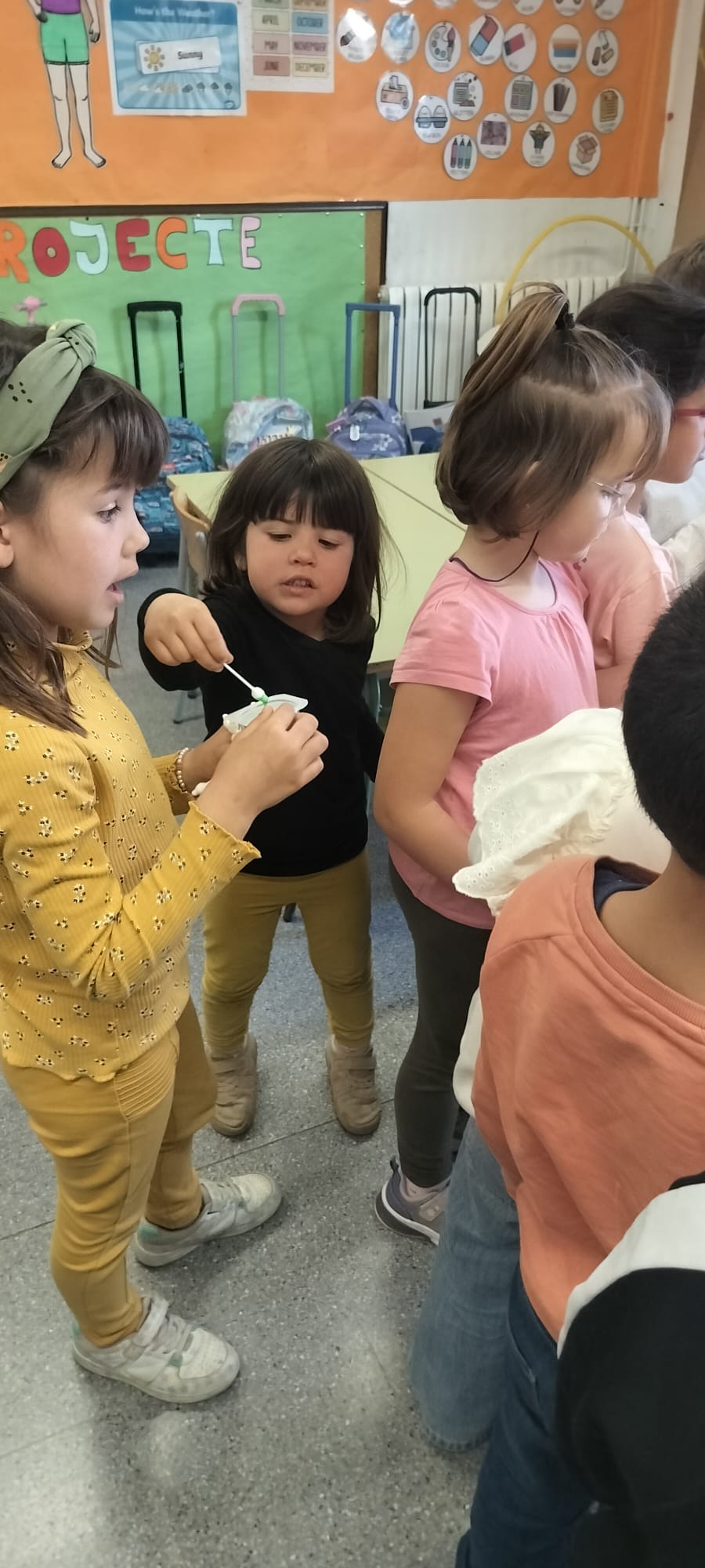 WhatsApp Image 2026-03-24 at 16.23.18 (5)