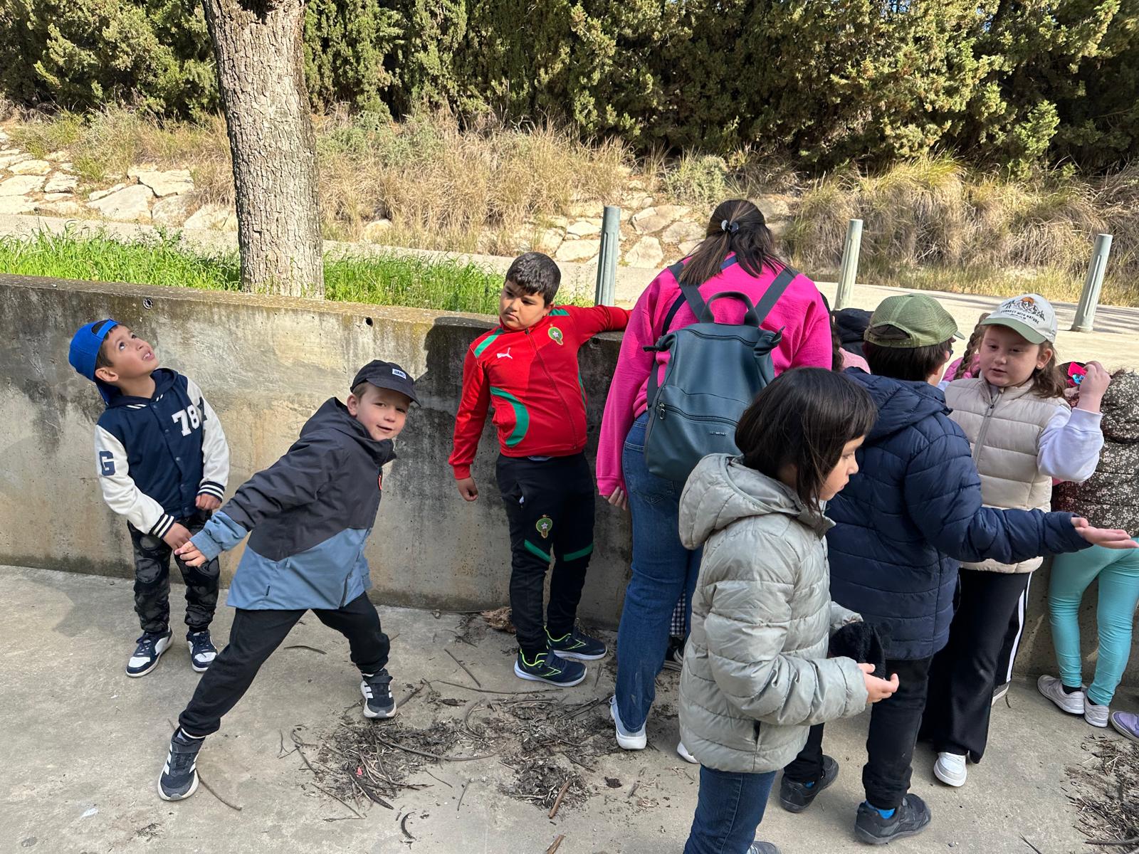 WhatsApp Image 2026-03-27 at 12.50.36 (1)